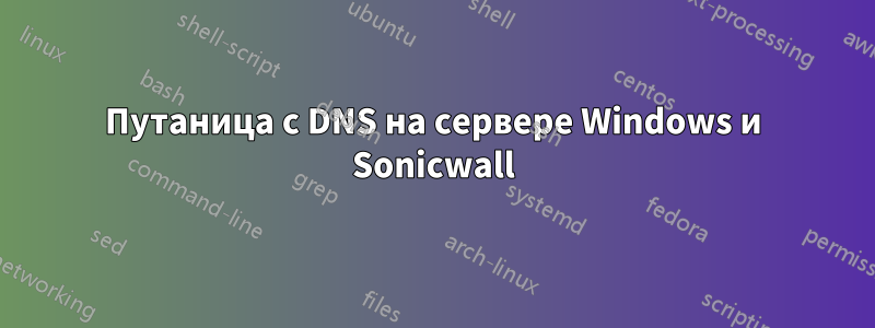 Путаница с DNS на сервере Windows и Sonicwall