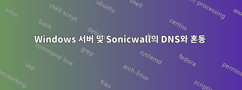 Windows 서버 및 Sonicwall의 DNS와 혼동