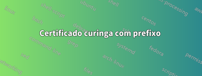 Certificado curinga com prefixo