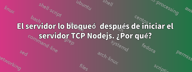 El servidor lo bloqueó después de iniciar el servidor TCP Nodejs. ¿Por qué?