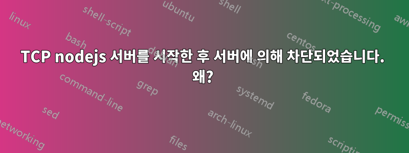 TCP nodejs 서버를 시작한 후 서버에 의해 차단되었습니다. 왜?