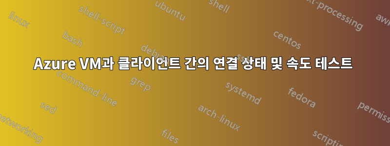 Azure VM과 클라이언트 간의 연결 상태 및 속도 테스트