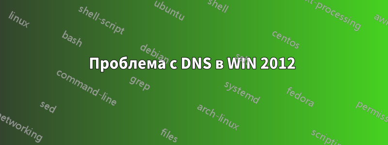 Проблема с DNS в WIN 2012