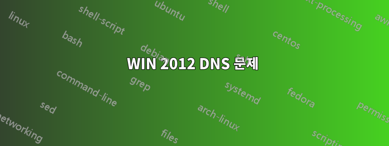 WIN 2012 DNS 문제