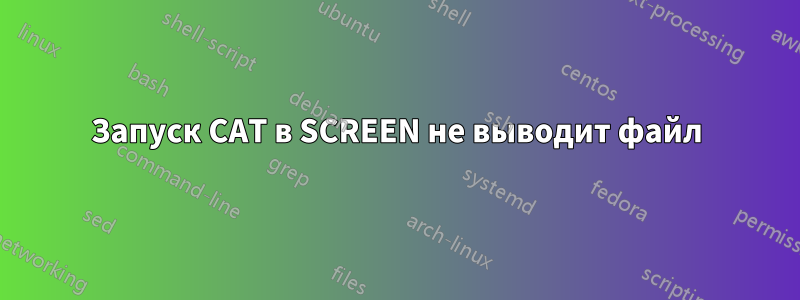 Запуск CAT в SCREEN не выводит файл