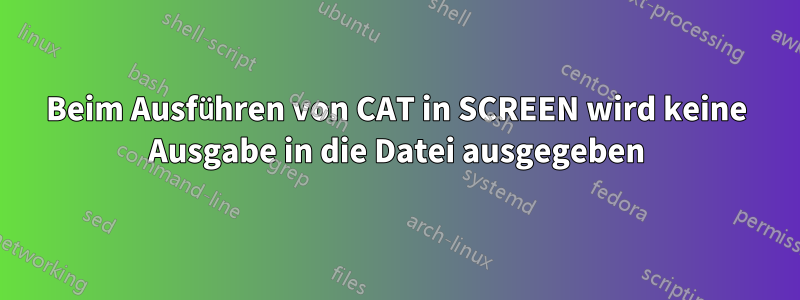 Beim Ausführen von CAT in SCREEN wird keine Ausgabe in die Datei ausgegeben