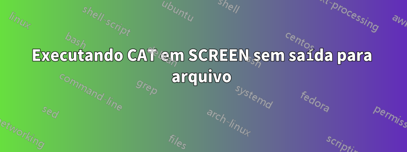 Executando CAT em SCREEN sem saída para arquivo