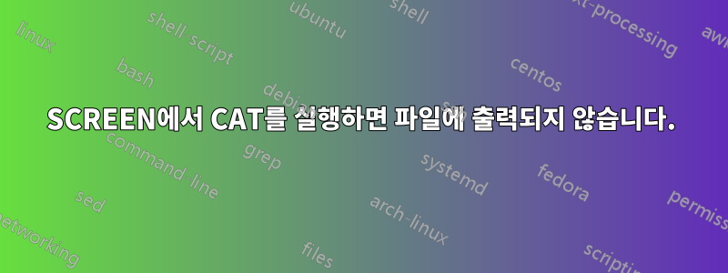 SCREEN에서 CAT를 실행하면 파일에 출력되지 않습니다.