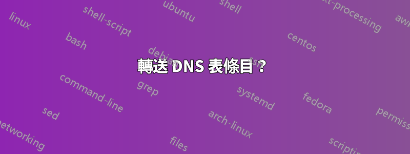 轉送 DNS 表條目？