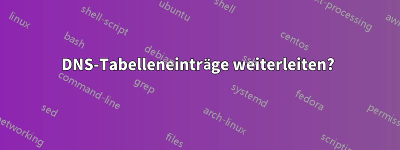 DNS-Tabelleneinträge weiterleiten?