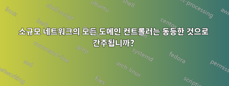 소규모 네트워크의 모든 도메인 컨트롤러는 동등한 것으로 간주됩니까?