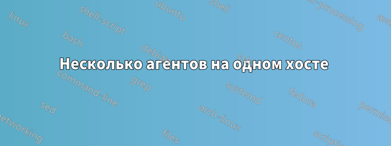 Несколько агентов на одном хосте