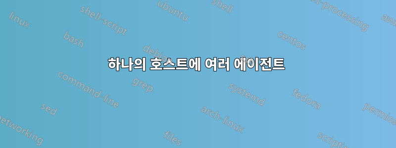 하나의 호스트에 여러 에이전트