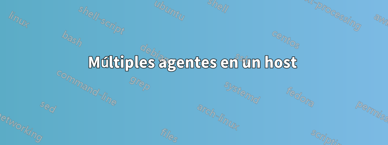 Múltiples agentes en un host