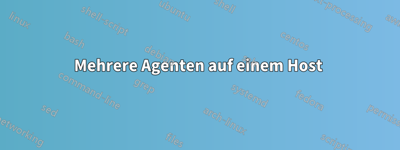 Mehrere Agenten auf einem Host