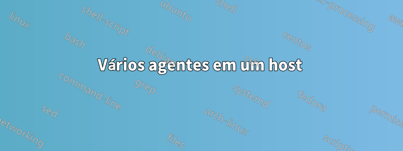 Vários agentes em um host