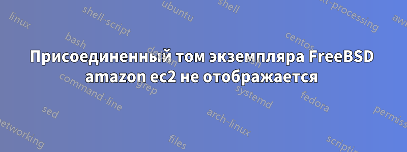 Присоединенный том экземпляра FreeBSD amazon ec2 не отображается