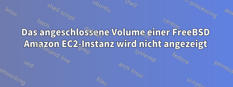 Das angeschlossene Volume einer FreeBSD Amazon EC2-Instanz wird nicht angezeigt