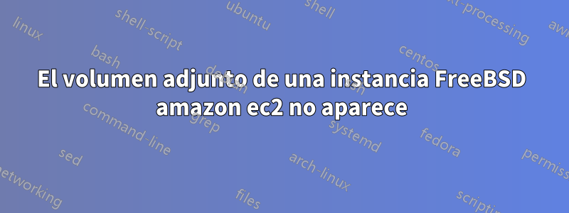 El volumen adjunto de una instancia FreeBSD amazon ec2 no aparece