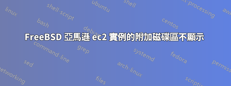 FreeBSD 亞馬遜 ec2 實例的附加磁碟區不顯示