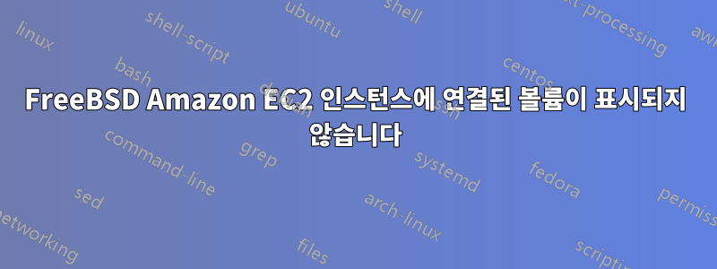 FreeBSD Amazon EC2 인스턴스에 연결된 볼륨이 표시되지 않습니다