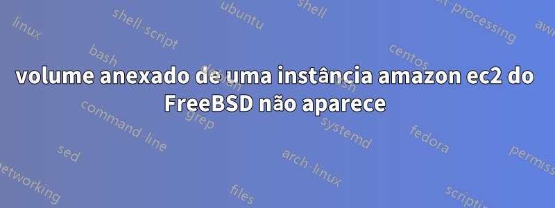 volume anexado de uma instância amazon ec2 do FreeBSD não aparece