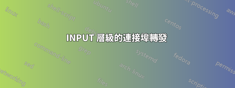 INPUT 層級的連接埠轉發