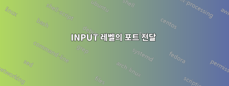 INPUT 레벨의 포트 전달