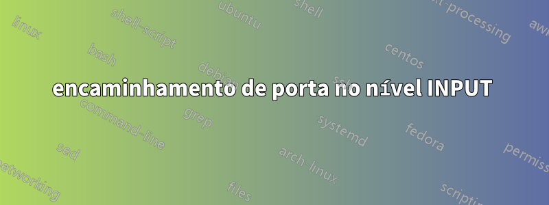 encaminhamento de porta no nível INPUT