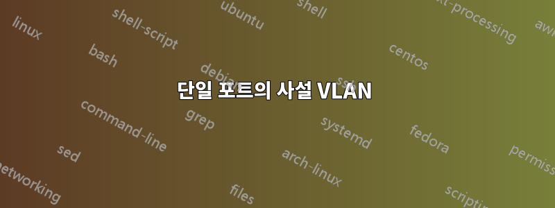 단일 포트의 사설 VLAN