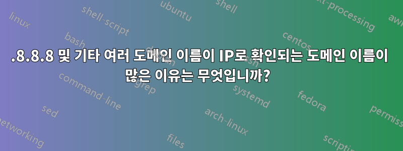 8.8.8.8 및 기타 여러 도메인 이름이 IP로 확인되는 도메인 이름이 많은 이유는 무엇입니까? 