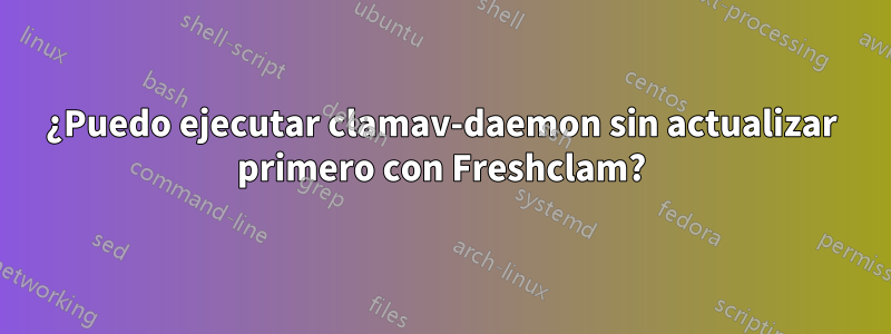 ¿Puedo ejecutar clamav-daemon sin actualizar primero con Freshclam?