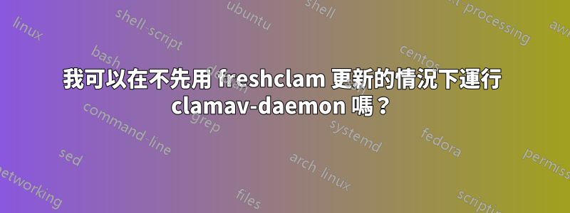 我可以在不先用 freshclam 更新的情況下運行 clamav-daemon 嗎？