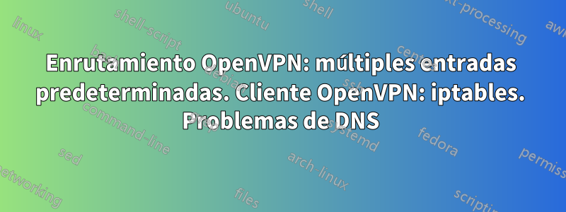 Enrutamiento OpenVPN: múltiples entradas predeterminadas. Cliente OpenVPN: iptables. Problemas de DNS