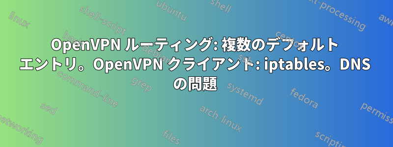 OpenVPN ルーティング: 複数のデフォルト エントリ。OpenVPN クライアント: iptables。DNS の問題