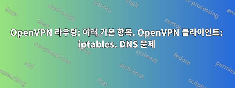 OpenVPN 라우팅: 여러 기본 항목. OpenVPN 클라이언트: iptables. DNS 문제