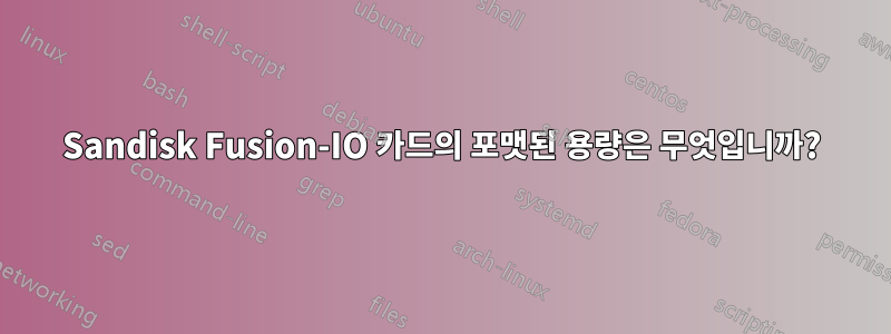 Sandisk Fusion-IO 카드의 포맷된 용량은 무엇입니까?