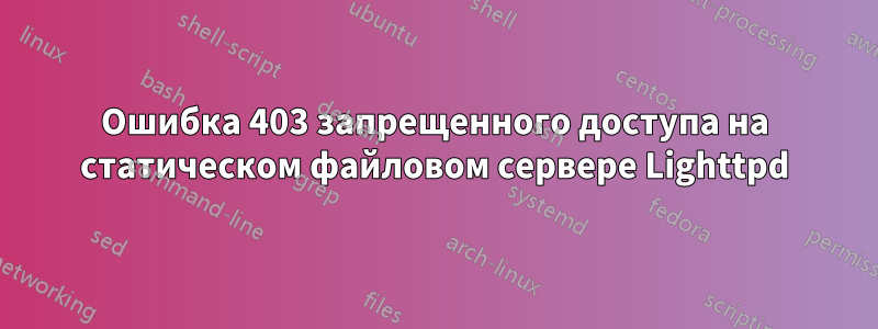 Ошибка 403 запрещенного доступа на статическом файловом сервере Lighttpd