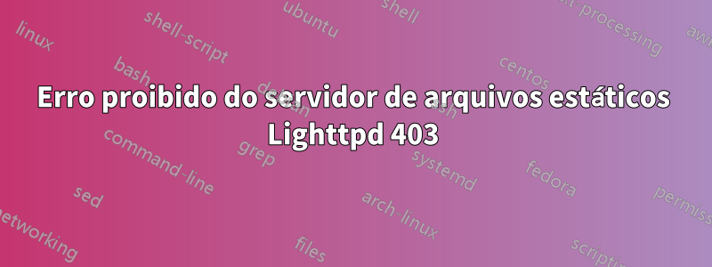 Erro proibido do servidor de arquivos estáticos Lighttpd 403