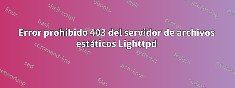 Error prohibido 403 del servidor de archivos estáticos Lighttpd