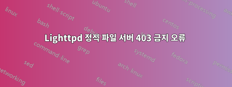 Lighttpd 정적 파일 서버 403 금지 오류