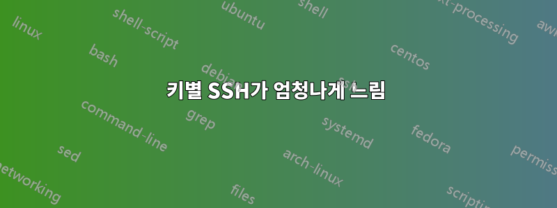 키별 SSH가 엄청나게 느림