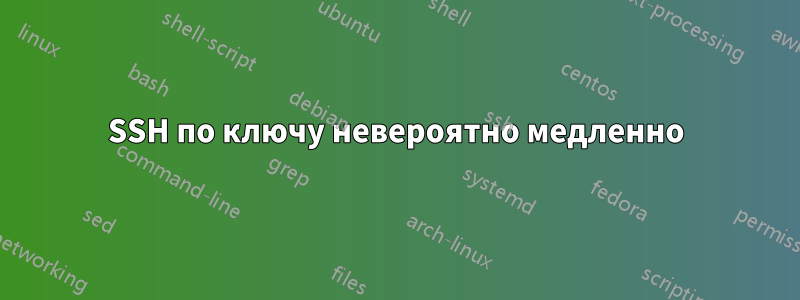 SSH по ключу невероятно медленно