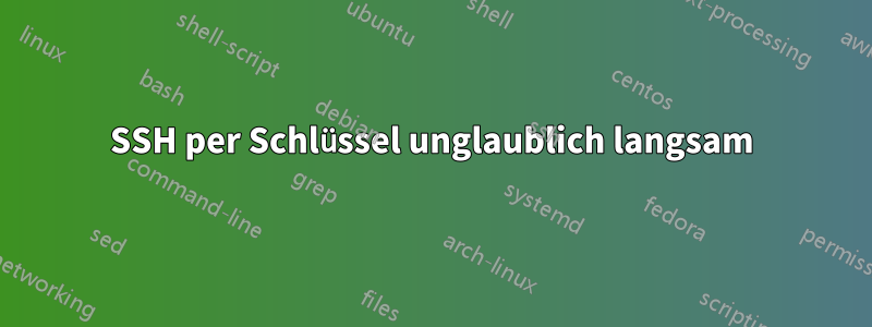 SSH per Schlüssel unglaublich langsam