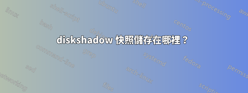 diskshadow 快照儲存在哪裡？