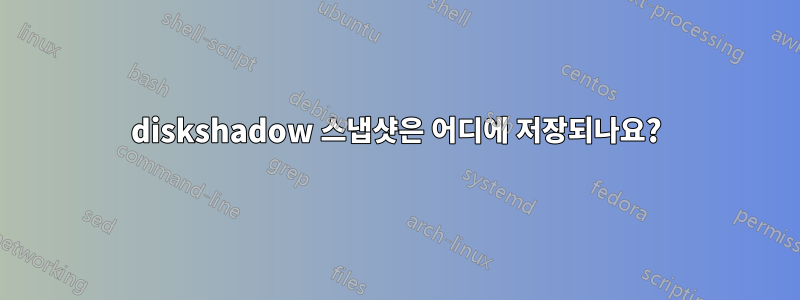 diskshadow 스냅샷은 어디에 저장되나요?