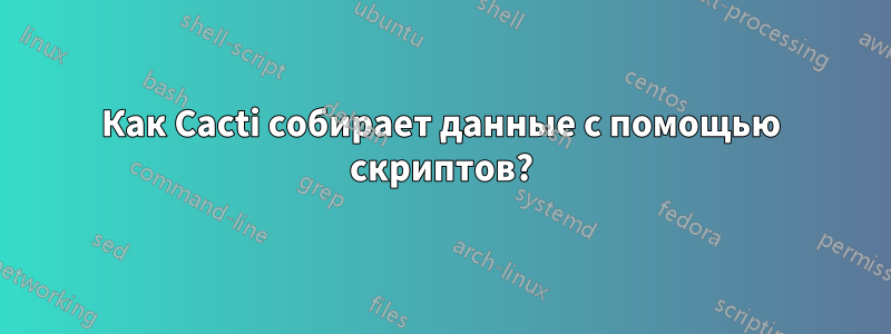 Как Cacti собирает данные с помощью скриптов?