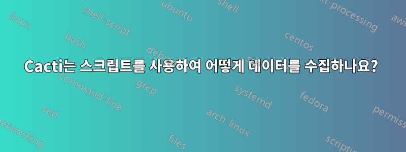 Cacti는 스크립트를 사용하여 어떻게 데이터를 수집하나요?