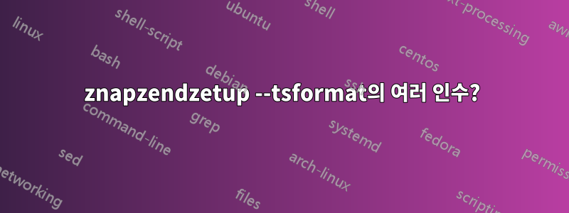 znapzendzetup --tsformat의 여러 인수?