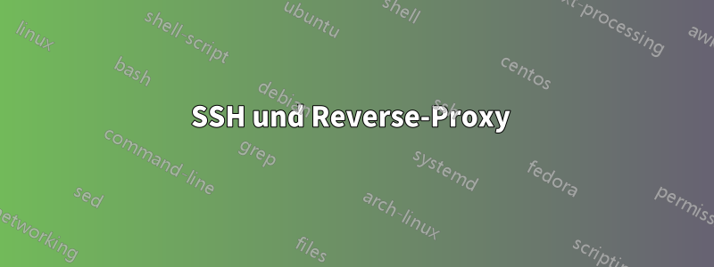 SSH und Reverse-Proxy 